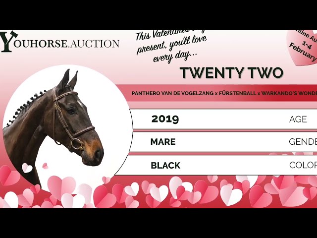 Twenty Two homevideo
