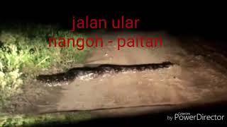 preview picture of video 'Paitan, beluran sabah,jalan bukit ular dari nangoh ke kenibongan pitas siap dibina pd thn 2005'