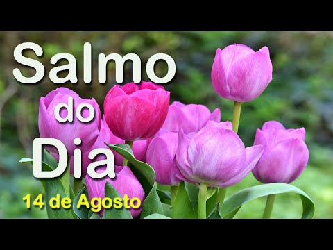 Salmo do Dia 14 de Agosto de 2020 | Salmo de Hoje