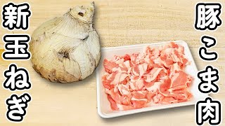 【新玉ねぎの簡単レシピ】材料2つ！豚こま肉の生姜焼き　箸が止まらないお手軽炒め物の作り方　春レシピ