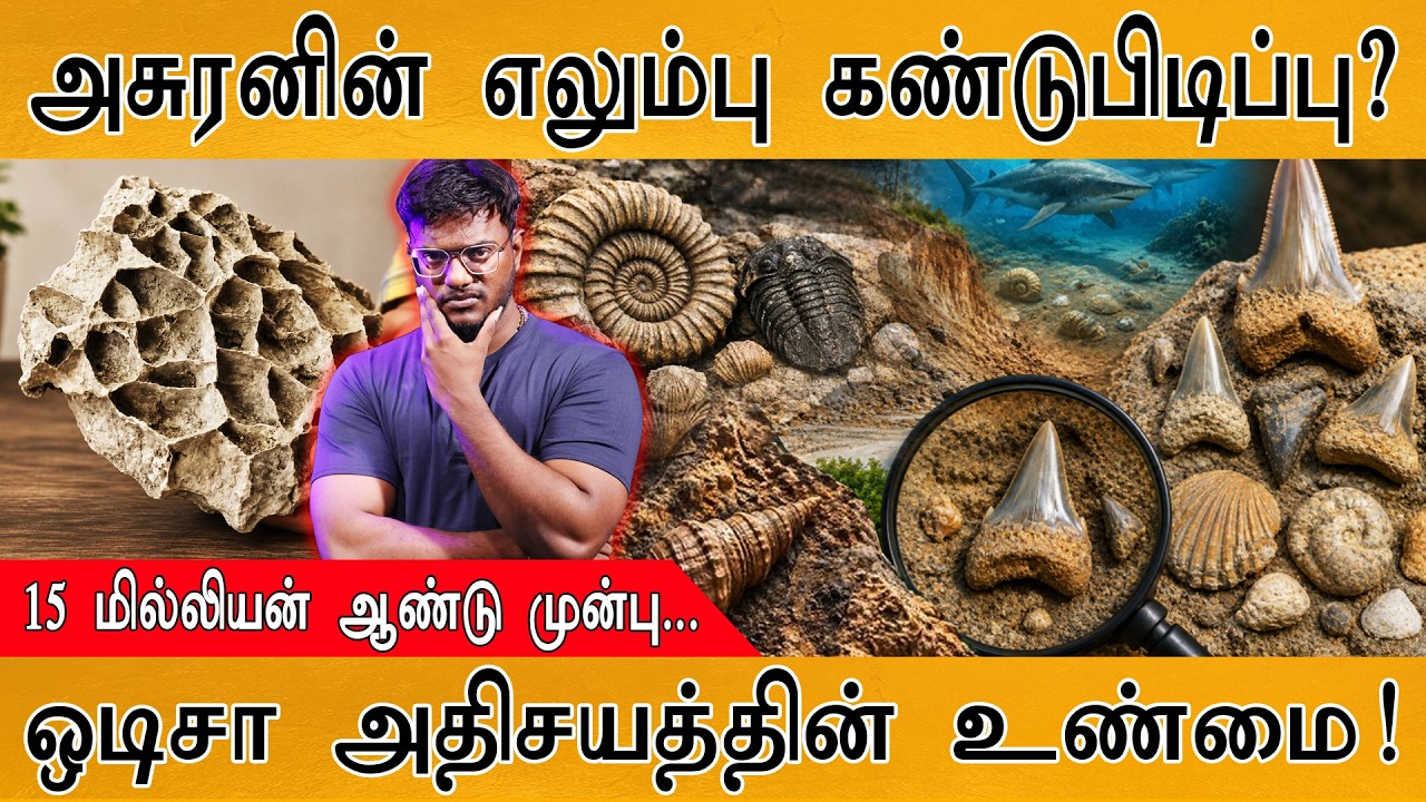 அசுரனின் எலும்பு கண்டுபிடிப்பு? | 15 மில்லியன் ஆண்டு ம