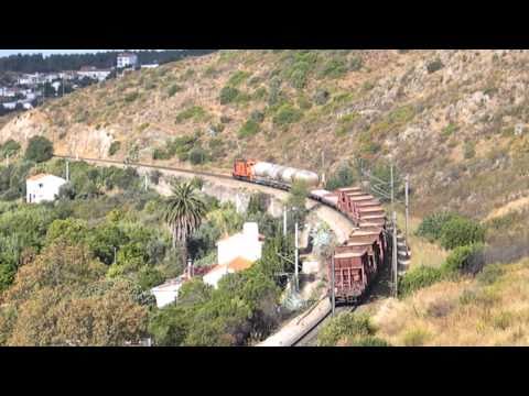 Comboio n.º 77530 - Almourol