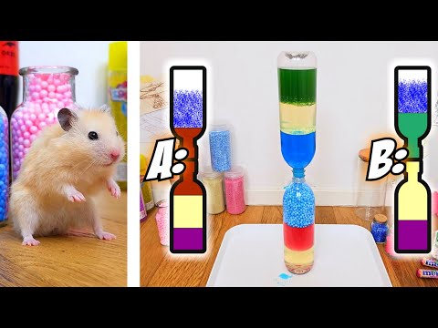 Awesome SCIENCE SHOW with HAMSTERS