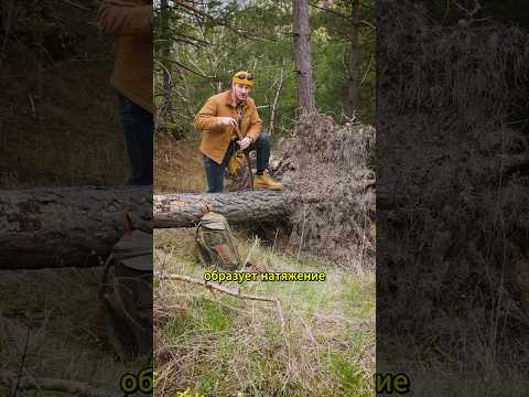 Это Опасно! Никогда не подходи к 