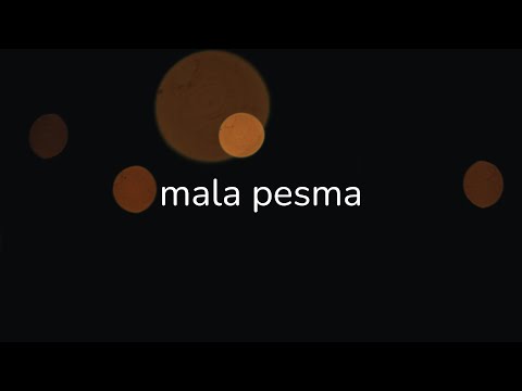 Video Placeholder