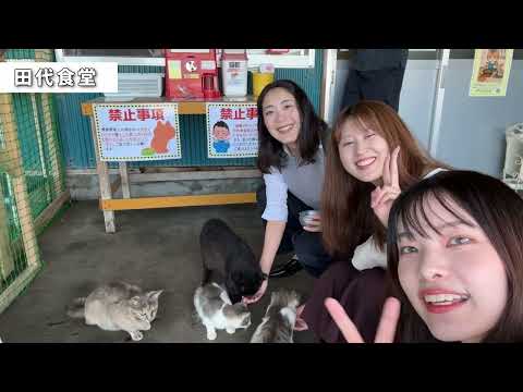 田代島　女子旅～Vlog風映像～