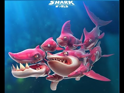 NEW SHARK ! THE FRENZY COMING SOON (APRIL 20th) - Hungry Shark World