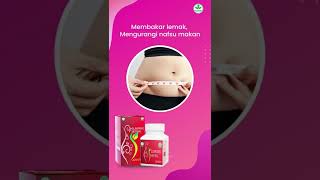 Download lagu Obat Pelangsing Paten Serta Aman Sudah Terdaftar BPOM #obatpelangsing #shorts #youtubeshorts mp3