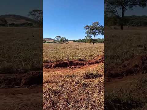 Fazenda Taquaral