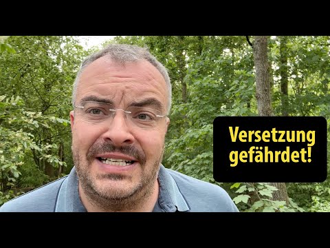 Promotion at risk? What can I do? Tips to still make it through! Lehrerschmidt