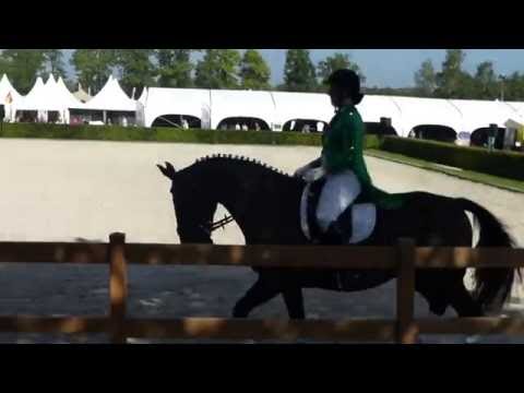 Groninger merrie Odessa met Harma Vredeveld op Horse Event 2016