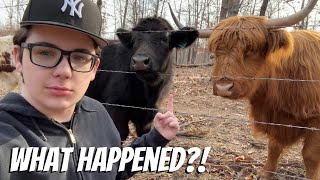 Frank Gets Bullied!?