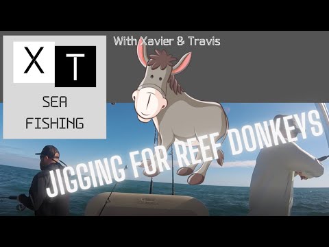 Ponce Inlet High Speed Vertical Jigging over Artificial Reef