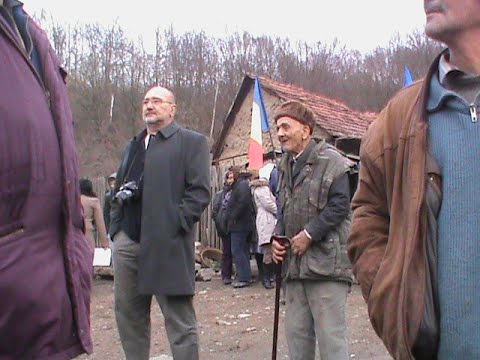 Dl Nicolae Rad despre suprafata revendicata in Cazul Nadas.