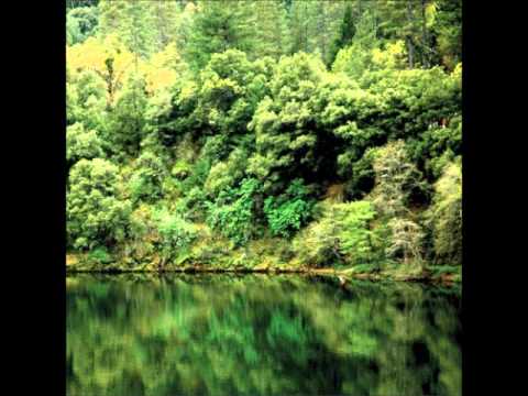 Conifer - Song For Krom