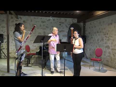 Milan Turkovic Masterclass I Telemann Sonata 1/3