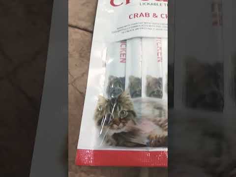 Cat food & comb #cat #pet #kitten #kitty #whiskas