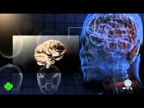 BRISANT! Körperschäden durch Drogen