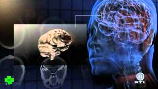 BRISANT! Körperschäden durch Drogen