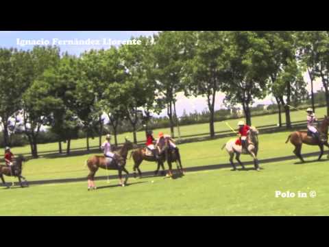 Polo Rules Course in English 12/12 Ranking of Fouls