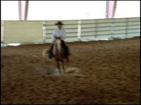 Louie Pinard 2 yr stud RO Smart Mecom Blue x Precious Liza Lena