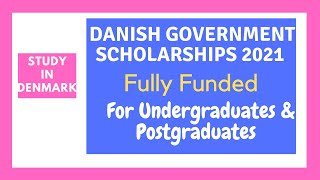Danish Government Scholarships (how to apply)