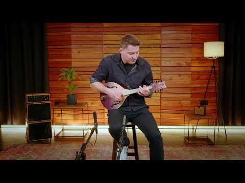 Ortega RMA200PF Americana Series A-Style Solid Flamed Maple Top Maple Neck 8-String Mandolin w/Croco Leather Case image 22