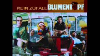 Blumentopf - Irgendwie lieb ich das 4