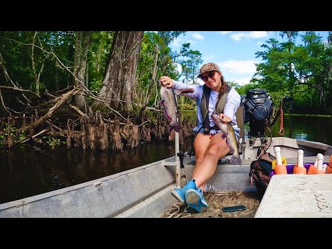 Catching Lots of Catfish on JUG Lines, Swamp Scenery, and a Delicious Poboy!