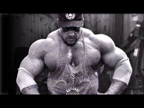 THE HARDEST WORKERS IN THE ROOM - THE IRON IS THERAPY - BODYBUILDING MOTIVATION