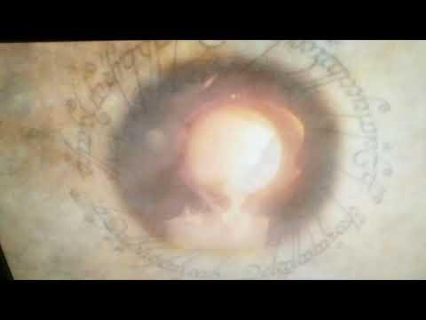 Opening To The Lord of The Rings The Fellowship of The Ring UK DVD