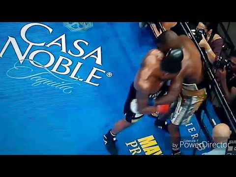Peter Quillin vs J'Leon Love Fight Highlights