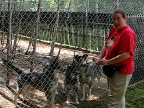 download lagu mp3 mp4 Deborah Moffat, download mp3 Deborah Moffat free download mp3, download mp3 Deborah Moffat