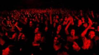 De Kreuners-zo Jong(Live@Sportpaleis)