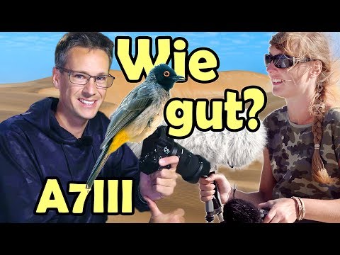 Sony A7 III Erfahrungsbericht 🧐 5 Monate harter Einsatz! + SCHOCK