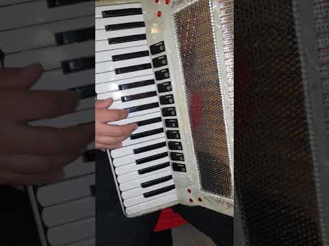 Akkordeon BARO Professionell 5 Chorig