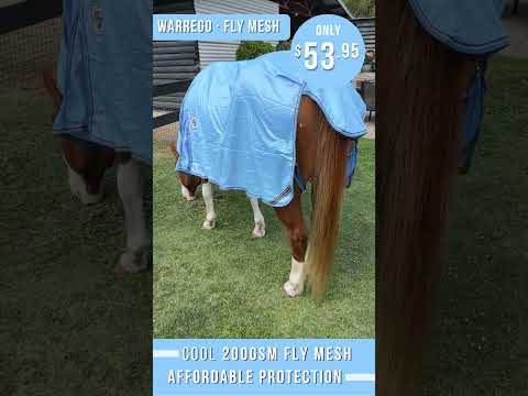 Delzani Warrego Air Mesh Horse Rug video preview – airflow, comfort, insect protection