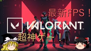 【VALORANT】最新神ゲーのFPS！初心者でも簡単？おてがるFPS ！