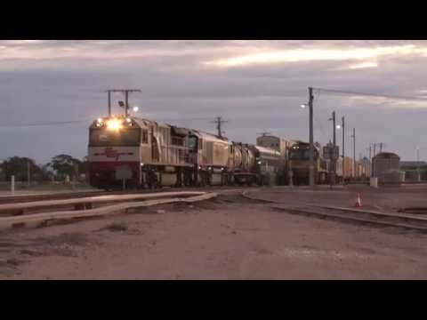 SCT Freight 1PM9 passes 1PM5 at Cook on the Nullarbor