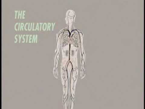Mnemonics: Remaining Your Dear, Dear Friend