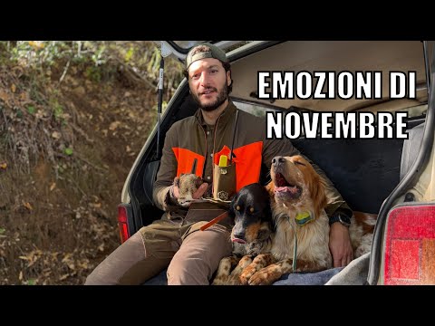 Caccia alla beccaccia | Crederci sempre 