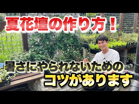 熱波の間、どの植物に優先的に水をやる必要がありますか?遅滞なく甘やかす種に焦点を当ててください！  庭園