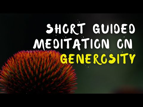 Generosity Beyond Limits | On-The-Go Meditation Guided by Brother Phap Huu