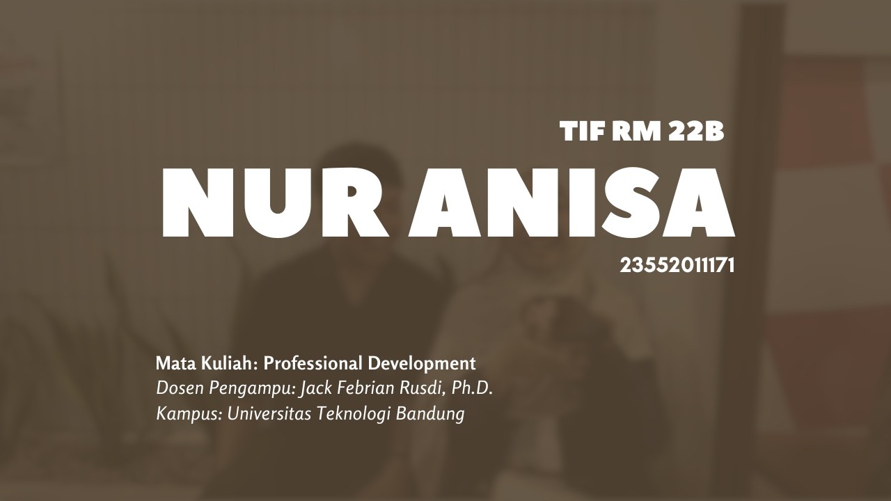 Nur Anisa (23552011171) - TIF RM 22B - Tugas Profesional Development