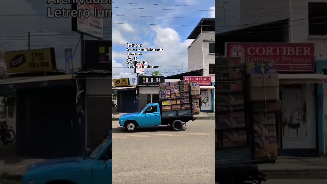 Video 1