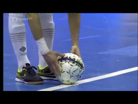 2017-18 1SF goals Era-Pack - Gardenline