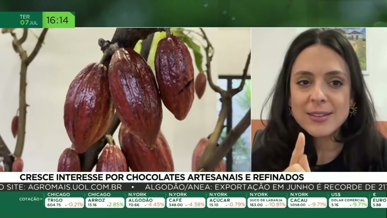 Cresce interesse por chocolates artesanais e refinados