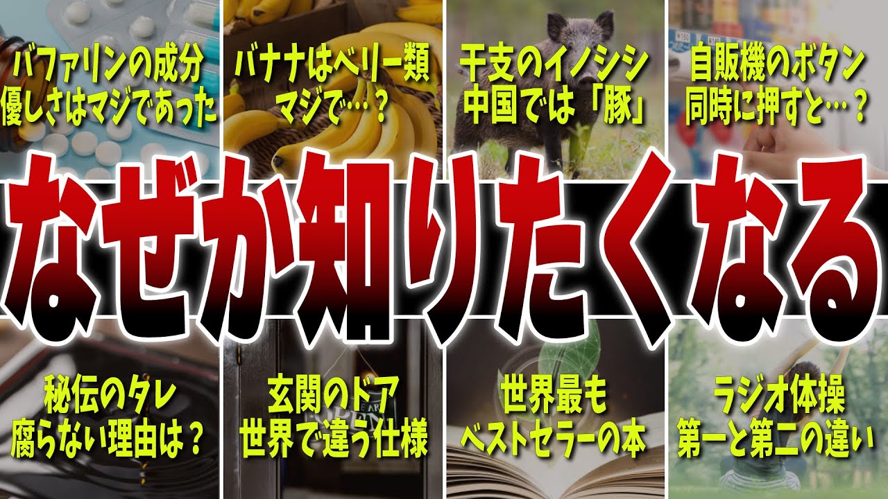 【なぜか知りたくなる】知りたくなるけどきっと役に立たない雑学10選