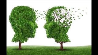 Why is Hair Like Grass - How To Treat Hair Loss Analogy