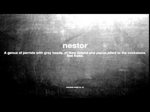 What does nestor mean